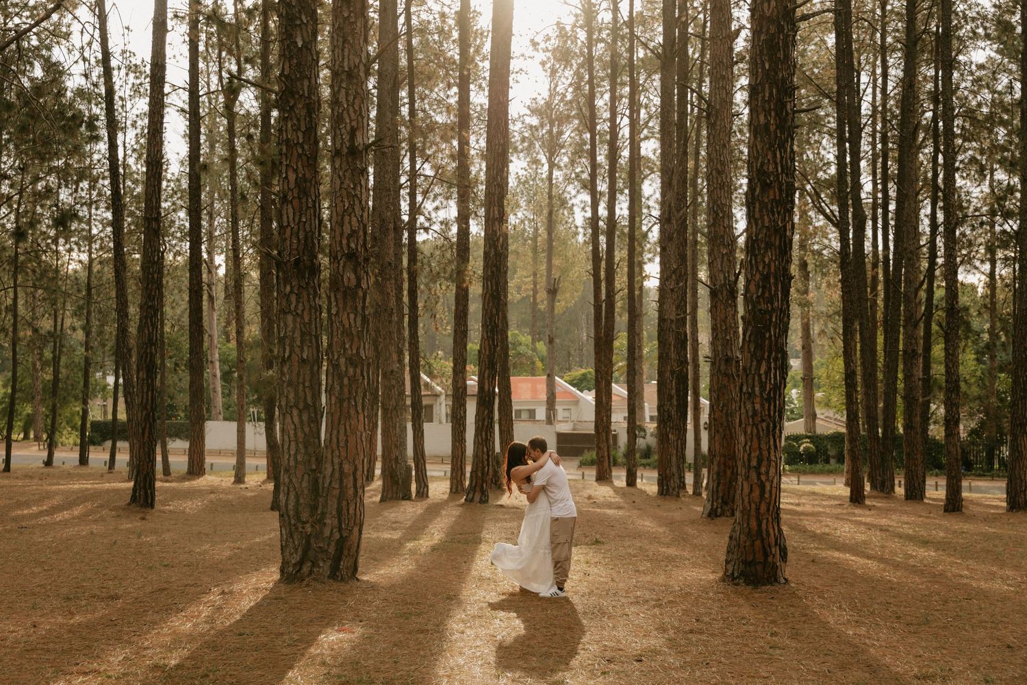 Sunlight streams through tall pine trees in a forest as a figure in white walks down a dirt path.