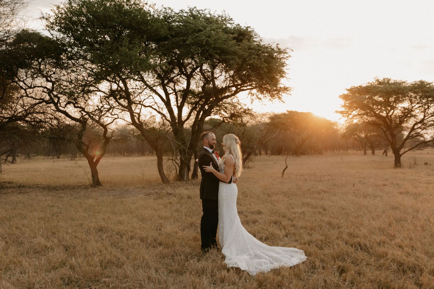 Romantic sunset wedding photos in African savanna with silhouetted trees and golden light.