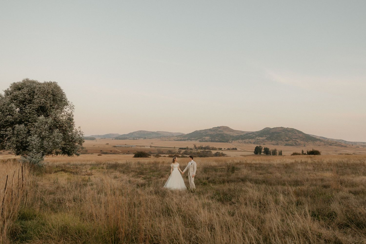 Figures stand in a rustic field of tall golden grass with rolling hills and mountains silhouetted in the distance at sunset.