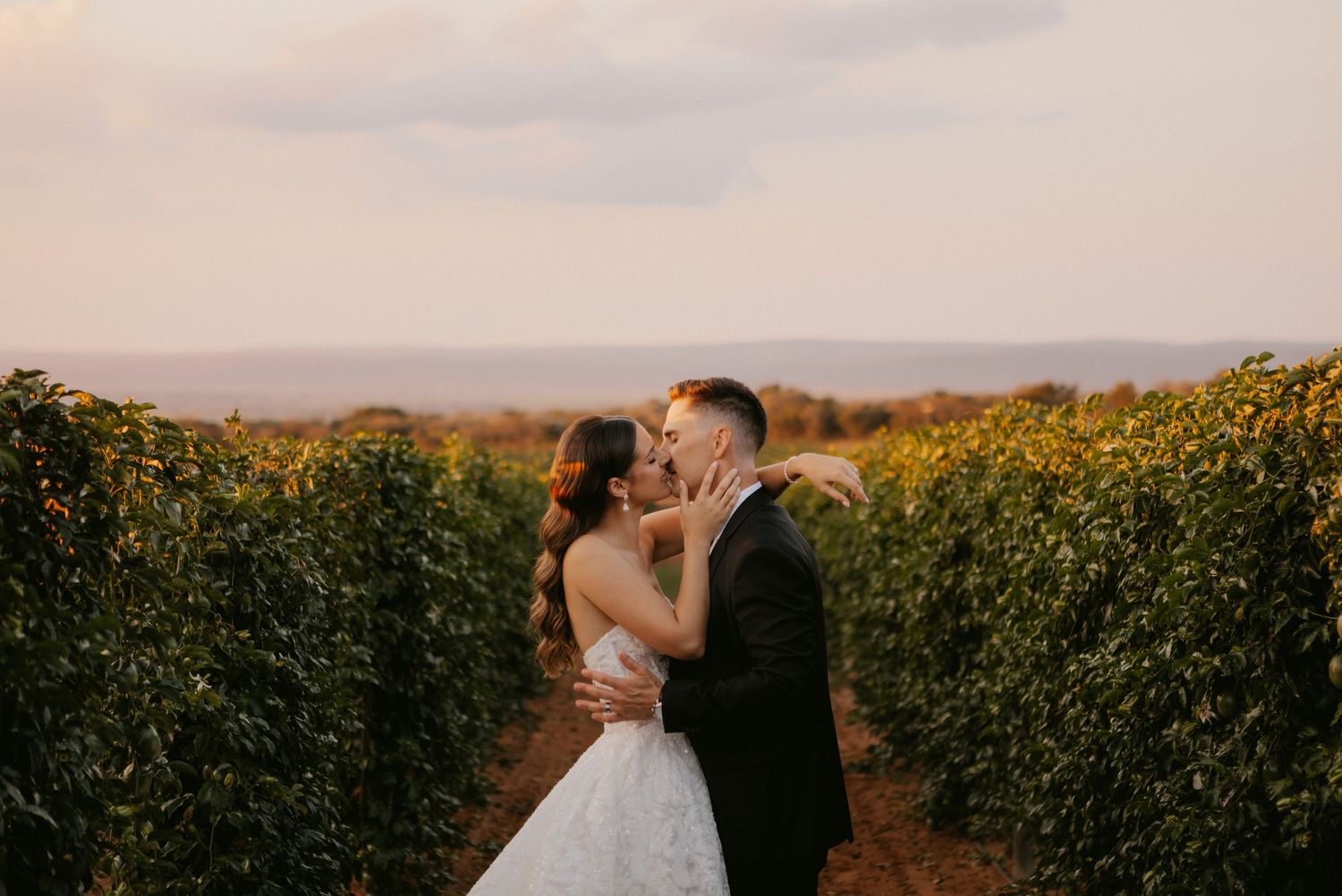 Bride and groom share a romantic kiss at golden hour in a lush vineyard, with rolling hills in the background.