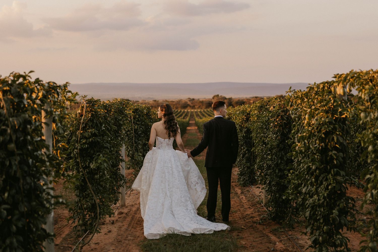 Bride and groom walking hand in hand through a lush vineyard at sunset on their wedding day.