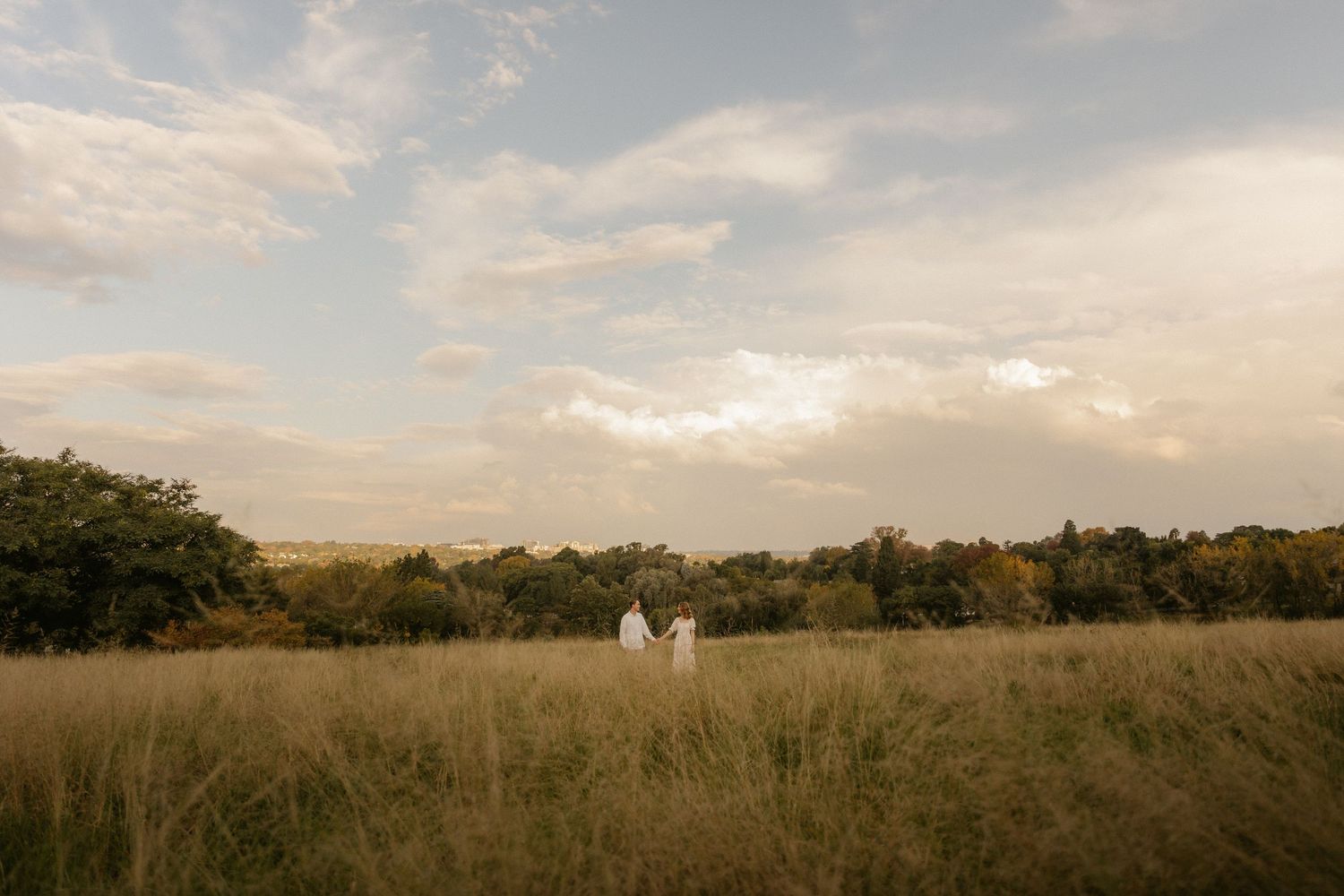 A panoramic view of a golden grassland landscape with scattered trees and a cloudy sky during sunset.