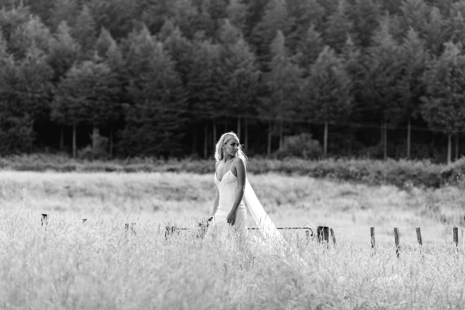 A black and white photo shows a figure in a flowing white dress standing in a meadow with a forest backdrop.