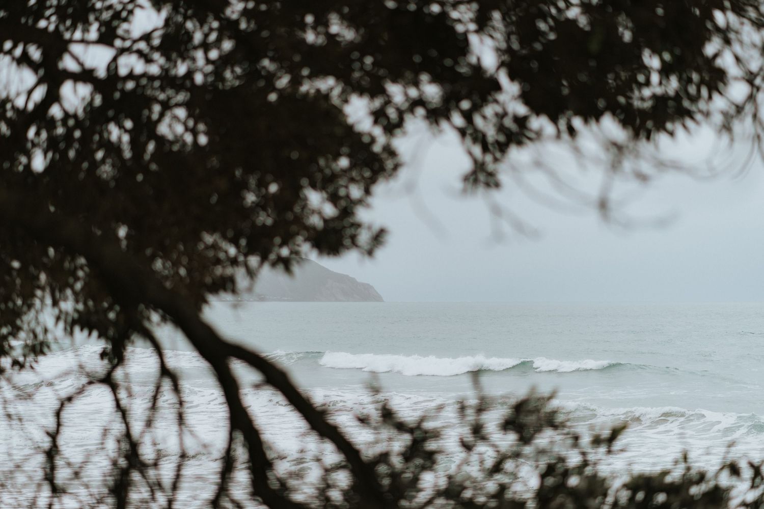 Misty ocean waves seen through silhouetted tree branches on an overcast day along the coastline.