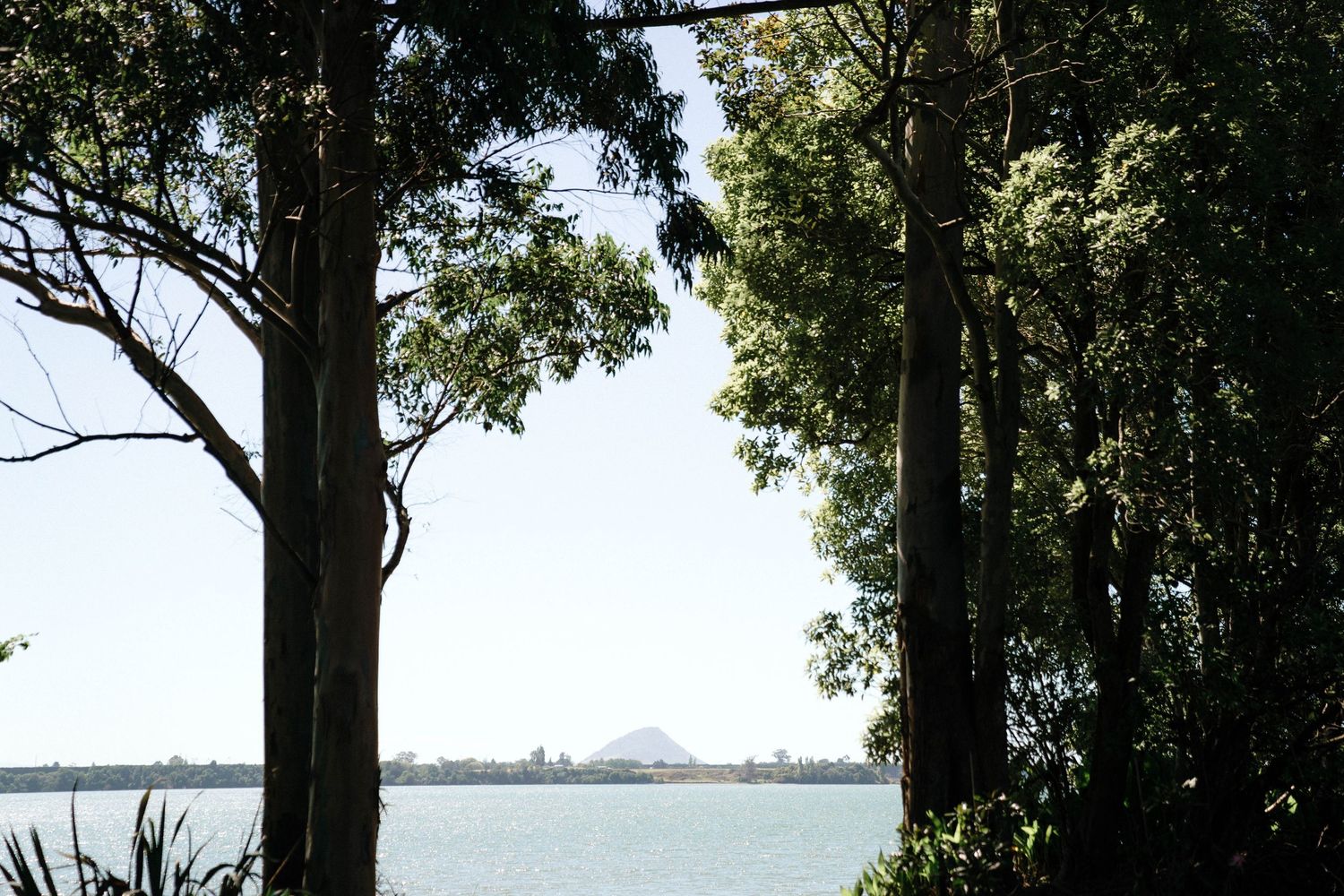 Scenic lakeside view through trees with mountain silhouette in the distance.