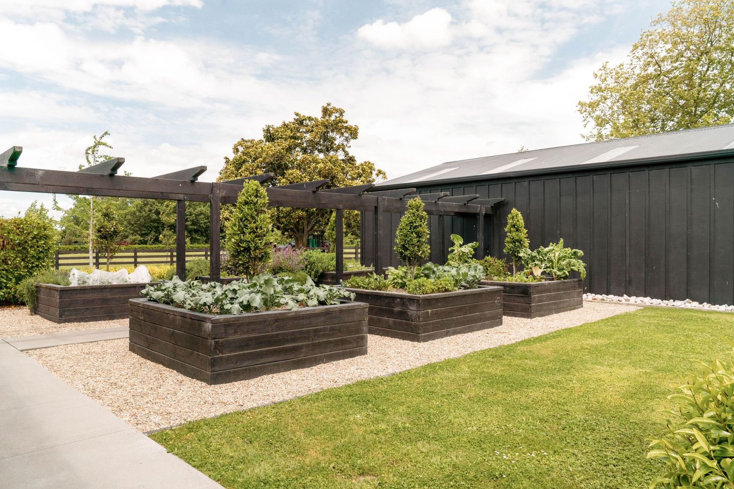 Contemporary raised garden beds with dark wood planters arranged in geometric pattern on landscaped lawn.