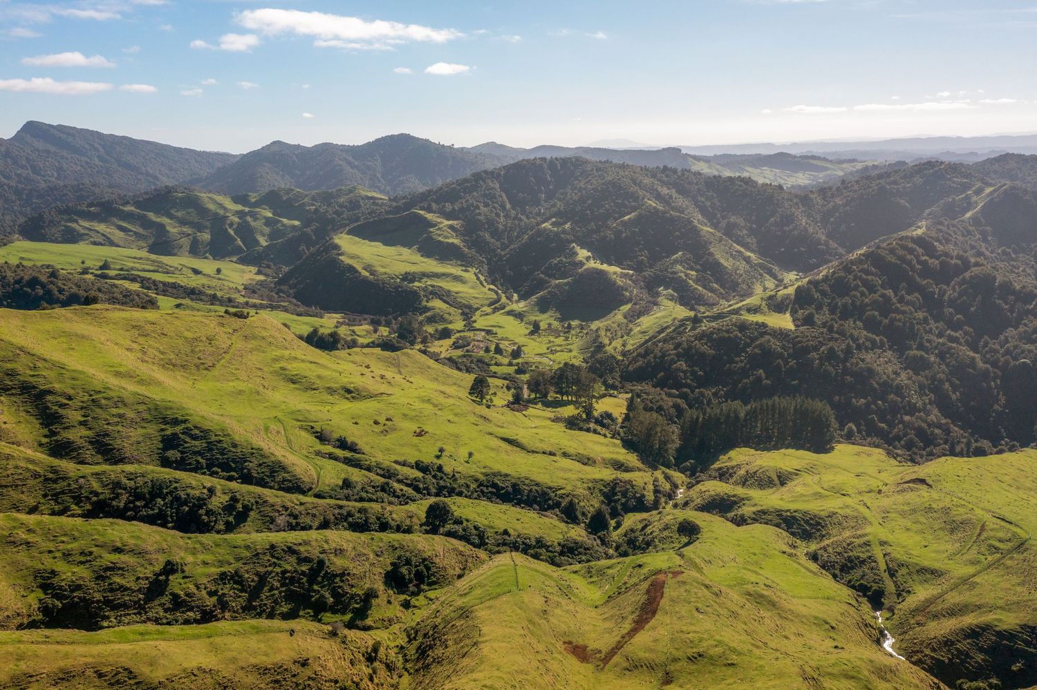 Rolling green hills and valleys stretch across a mountainous landscape under blue skies in New Zealand.