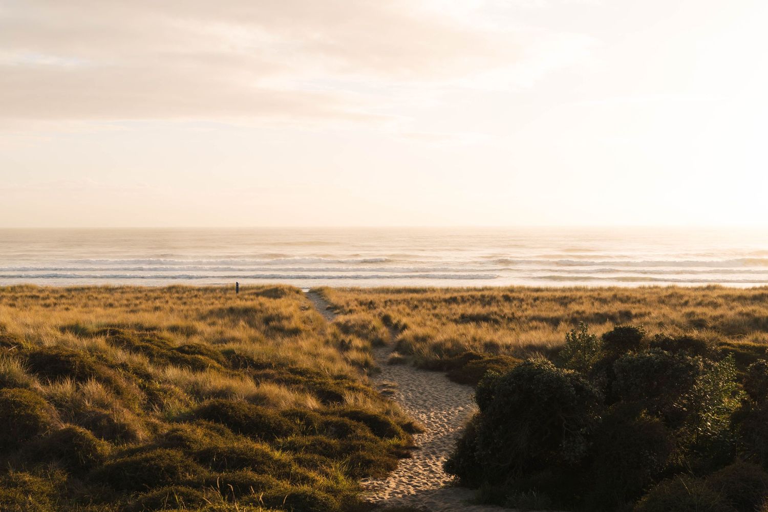 Coastal path winding through dunes towards ocean at sunset.