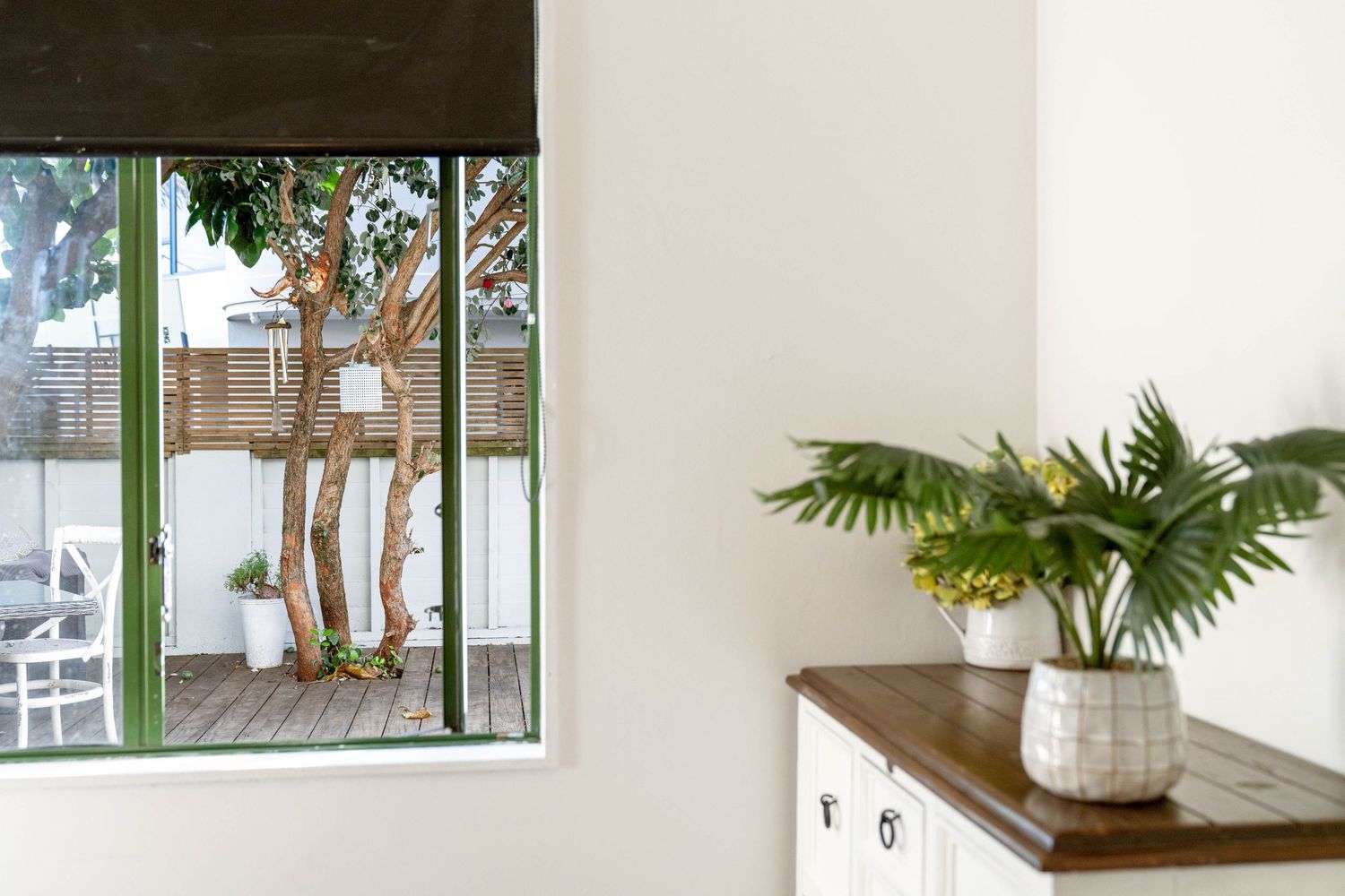 Interior room with large window framed in green trim and tropical plant on wooden cabinet.