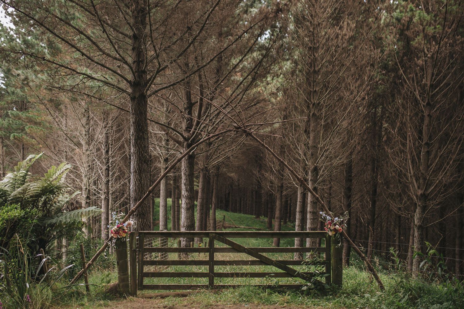 Wooden gate with rustic decorations leads to a mystical path through a dense pine forest on a moody day.