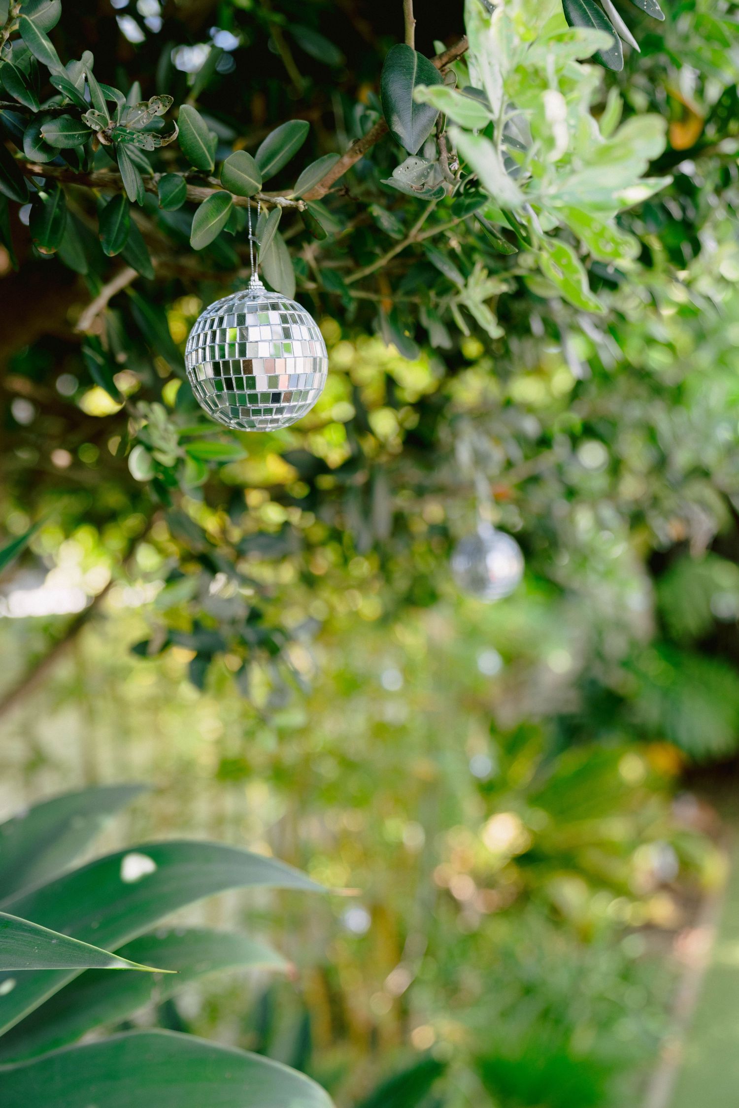 Three decorative mirror ball ornaments hanging from tree branches in soft natural daylight.