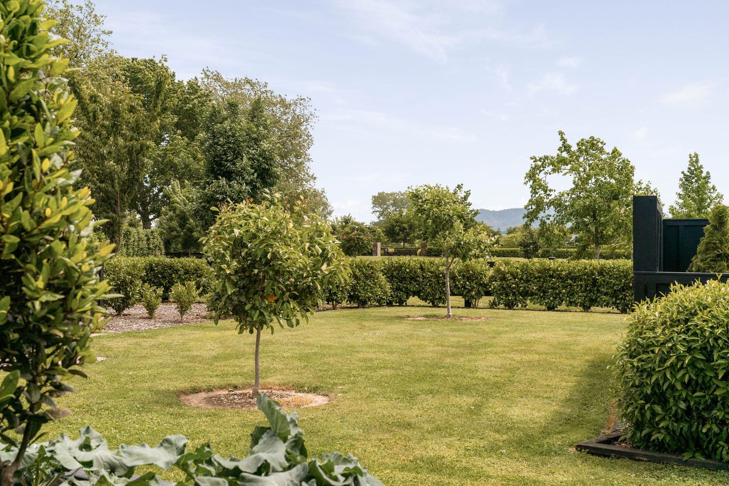 A well-maintained garden landscape with manicured lawn, young trees, and hedges under a blue sky.