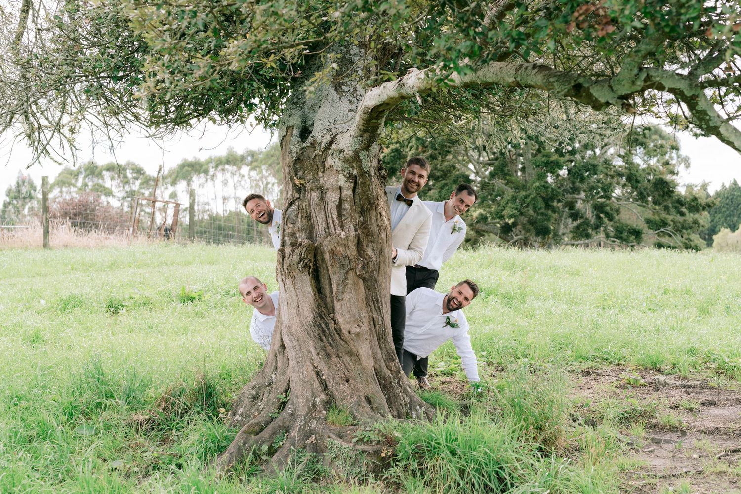 Playful wedding party poses around a large gnarled tree trunk in a green field.