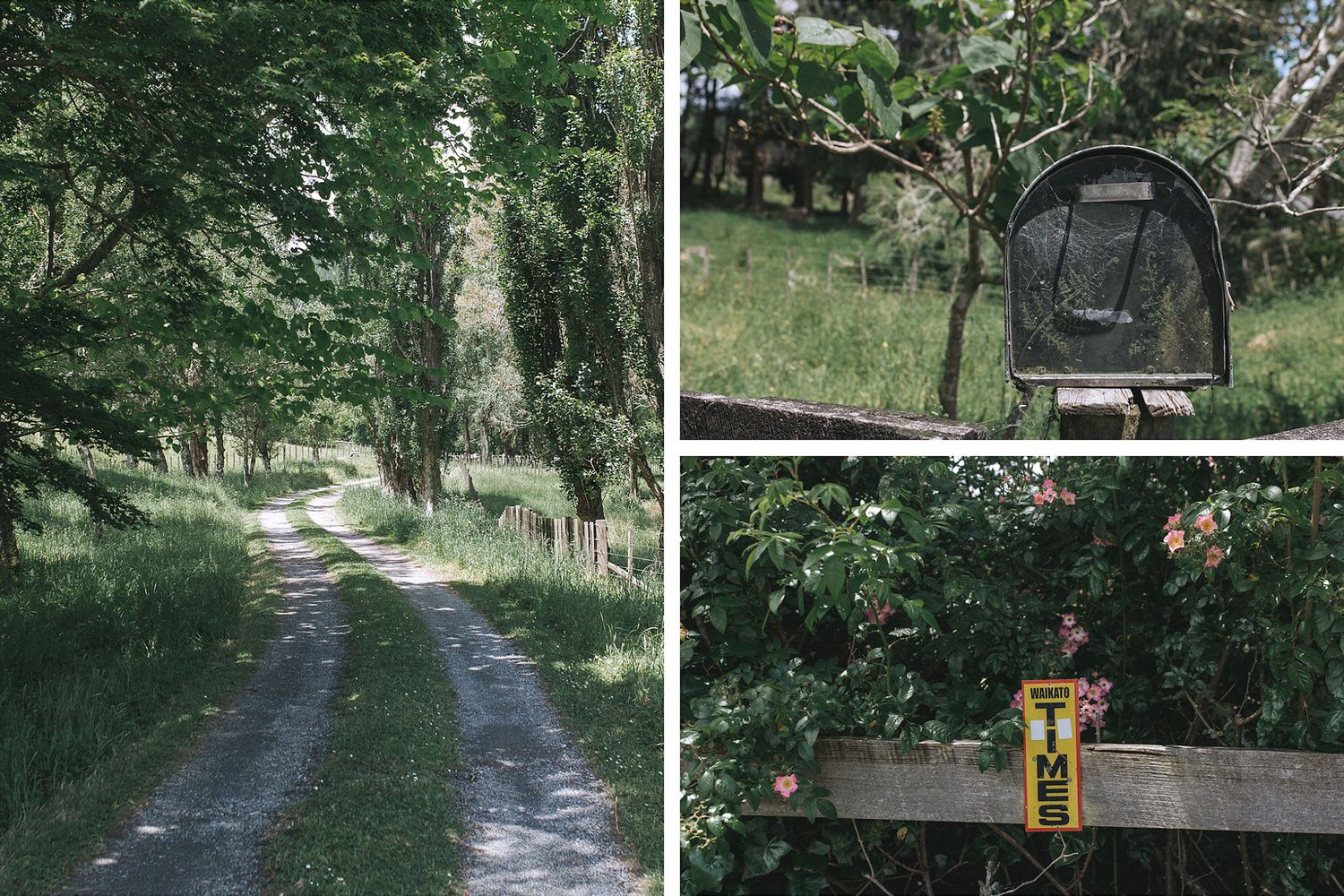 A tranquil rural path flanked by green trees leads into a wooded area, with a rustic mailbox and garden features.