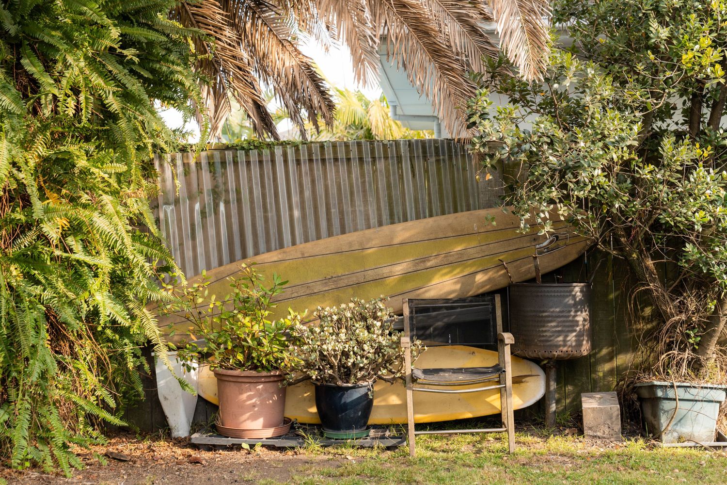 A peaceful backyard garden scene with wooden fences, lush greenery, and natural landscaping in sunlit conditions.