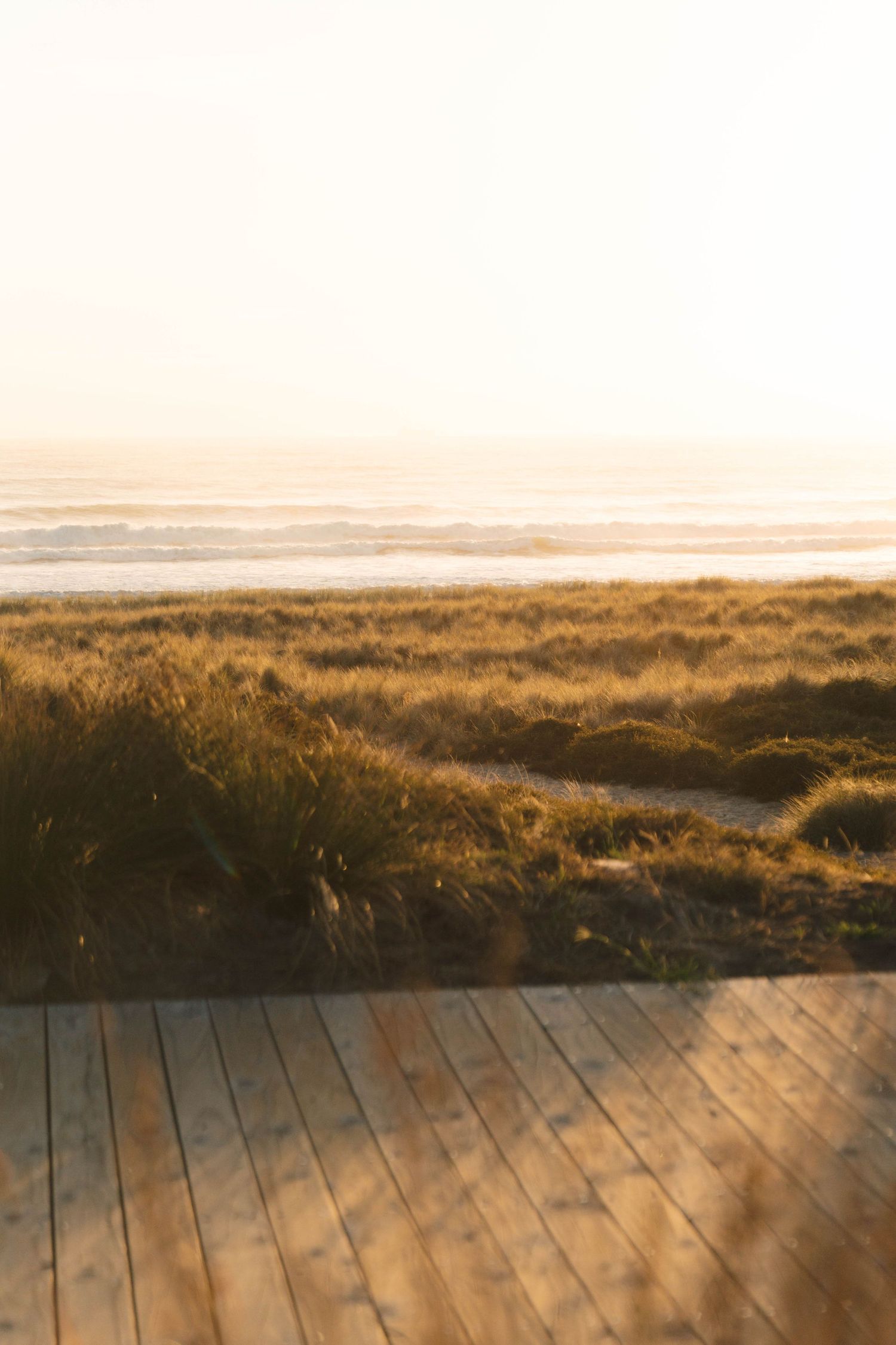 Rustic wooden deck overlooks scenic grassland landscape at golden hour.