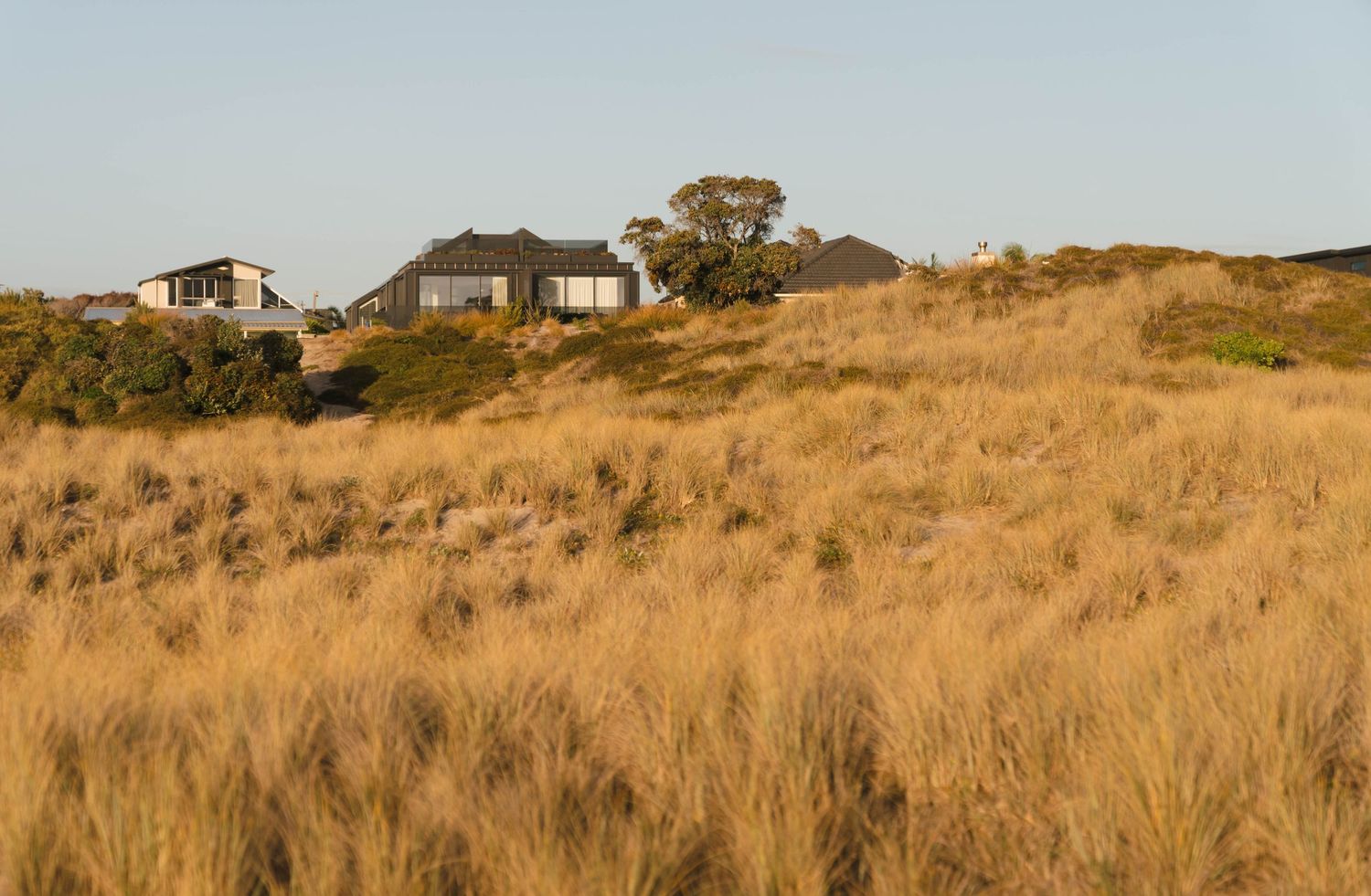 Contemporary hilltop homes overlooking golden grasslands during late afternoon light.