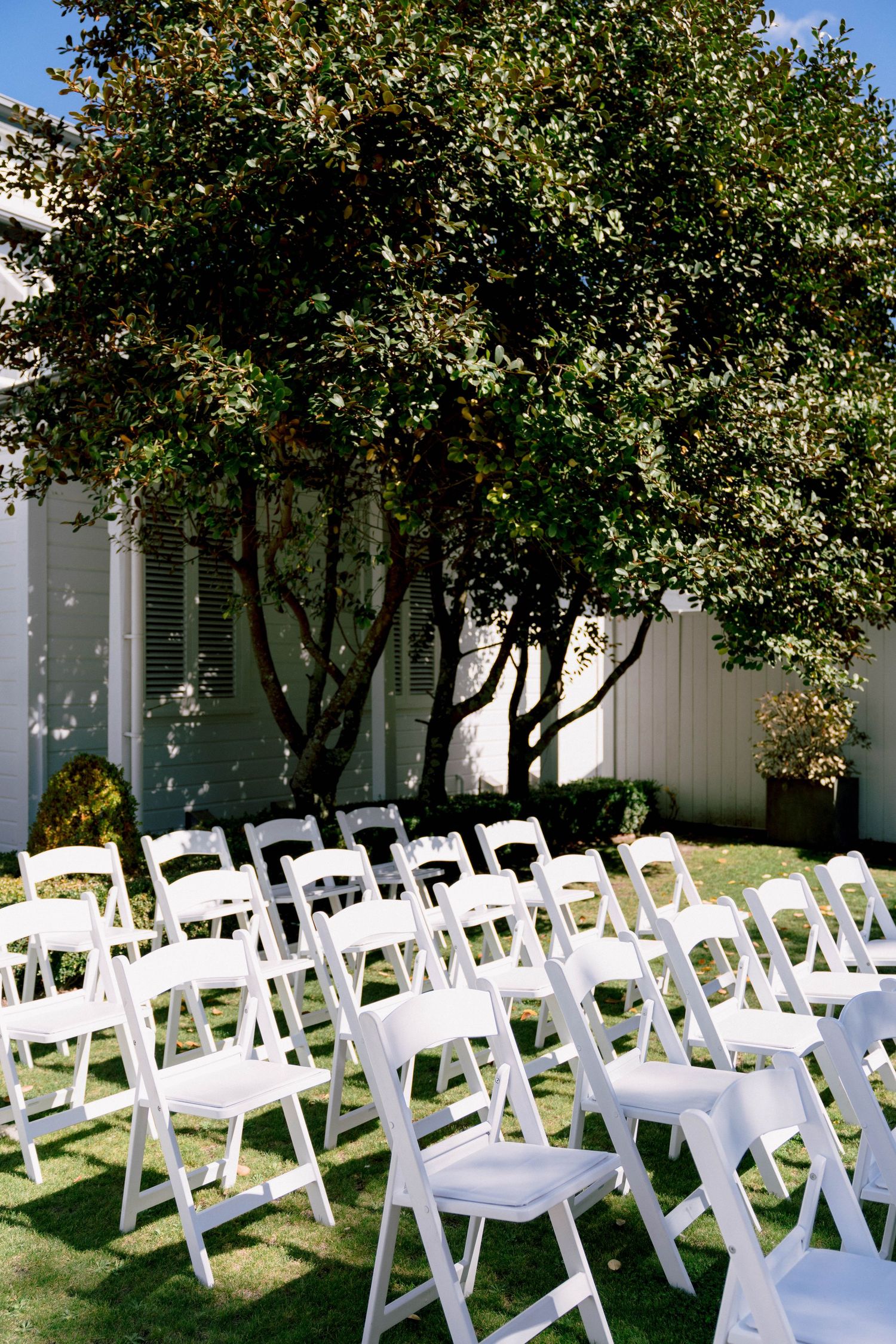 White folding chairs arranged on a lawn for an outdoor event under a lush green tree with white walls in the background.