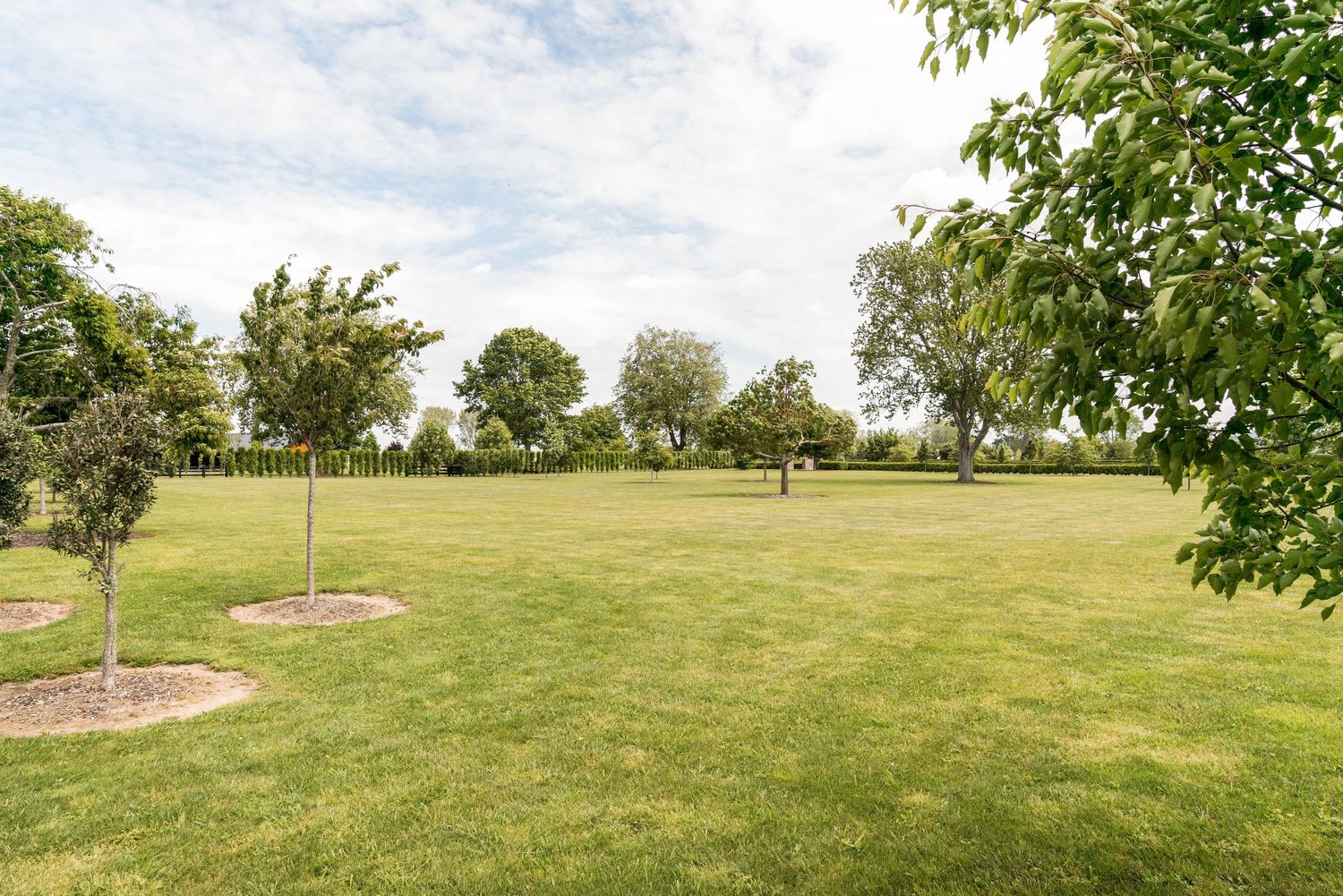 Expansive green lawn with young trees planted around the perimeter under a bright blue sky.