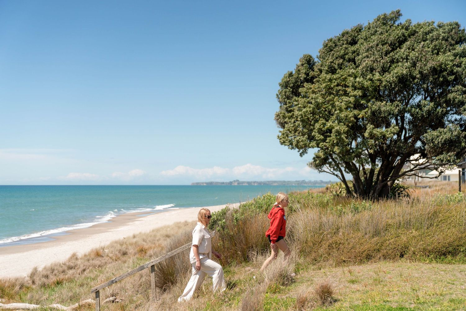 Two people and a dog walk along a coastal path overlooking a scenic beach with turquoise water and green trees.