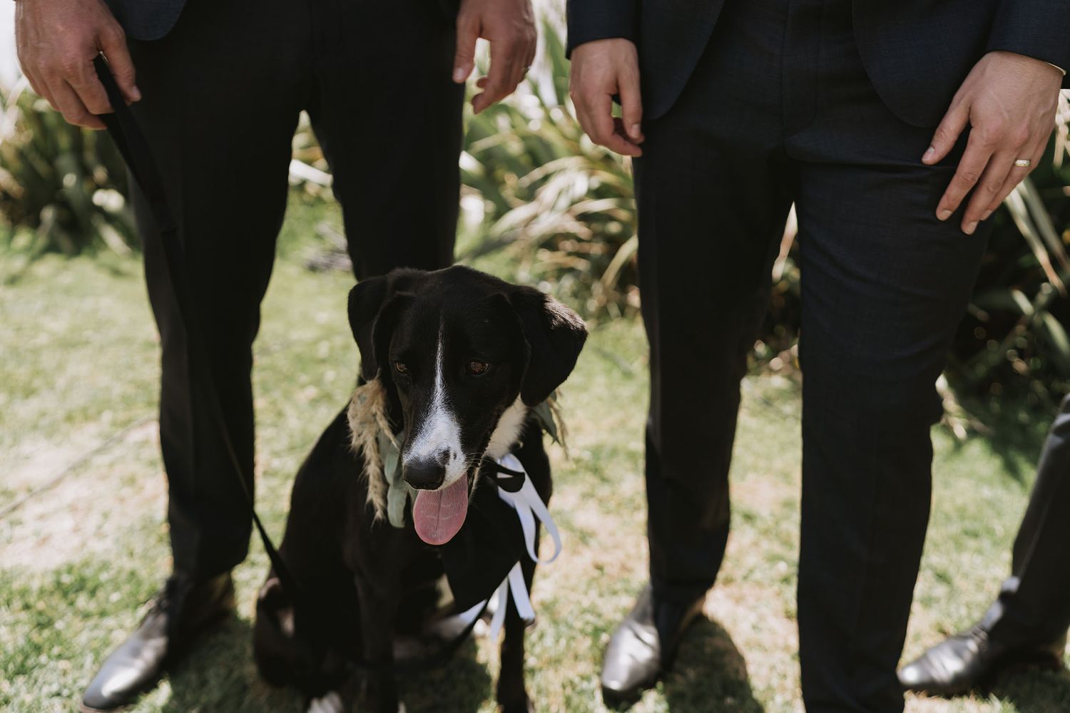 Black and white border collie dog with tongue out sits between two people wearing dark pants in outdoor setting.