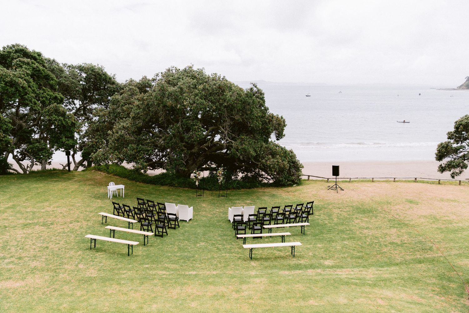 White chairs set up for an outdoor beach wedding ceremony under a large tree with ocean views.
