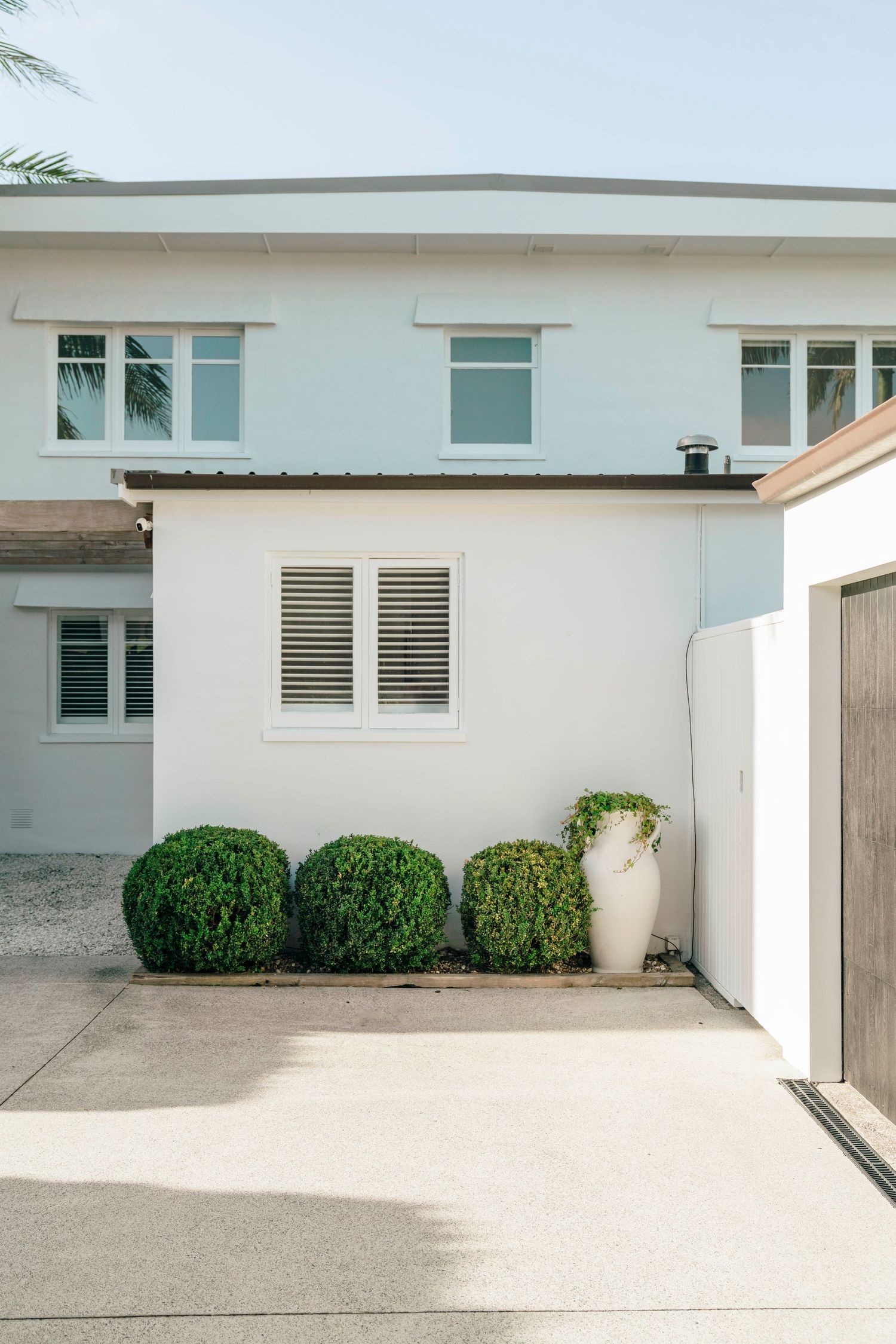 Modern white house exterior with three perfectly manicured spherical boxwood shrubs and a tall ceramic planter.