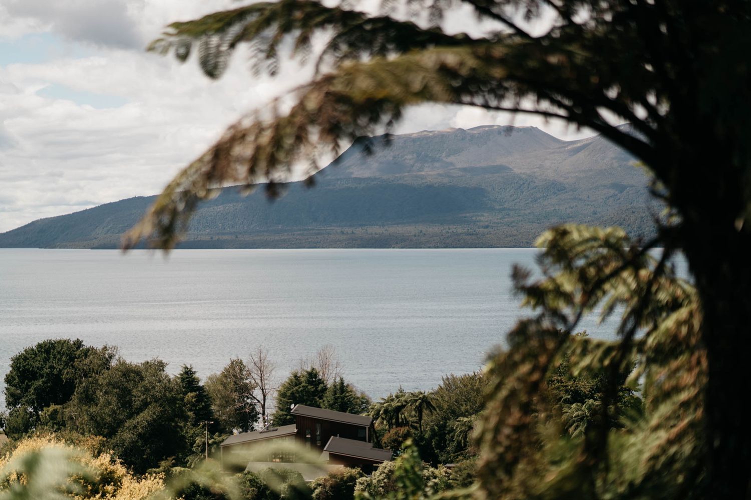 Scenic lake view through pine branches with mountains and lakeside houses nestled along the forested shoreline.
