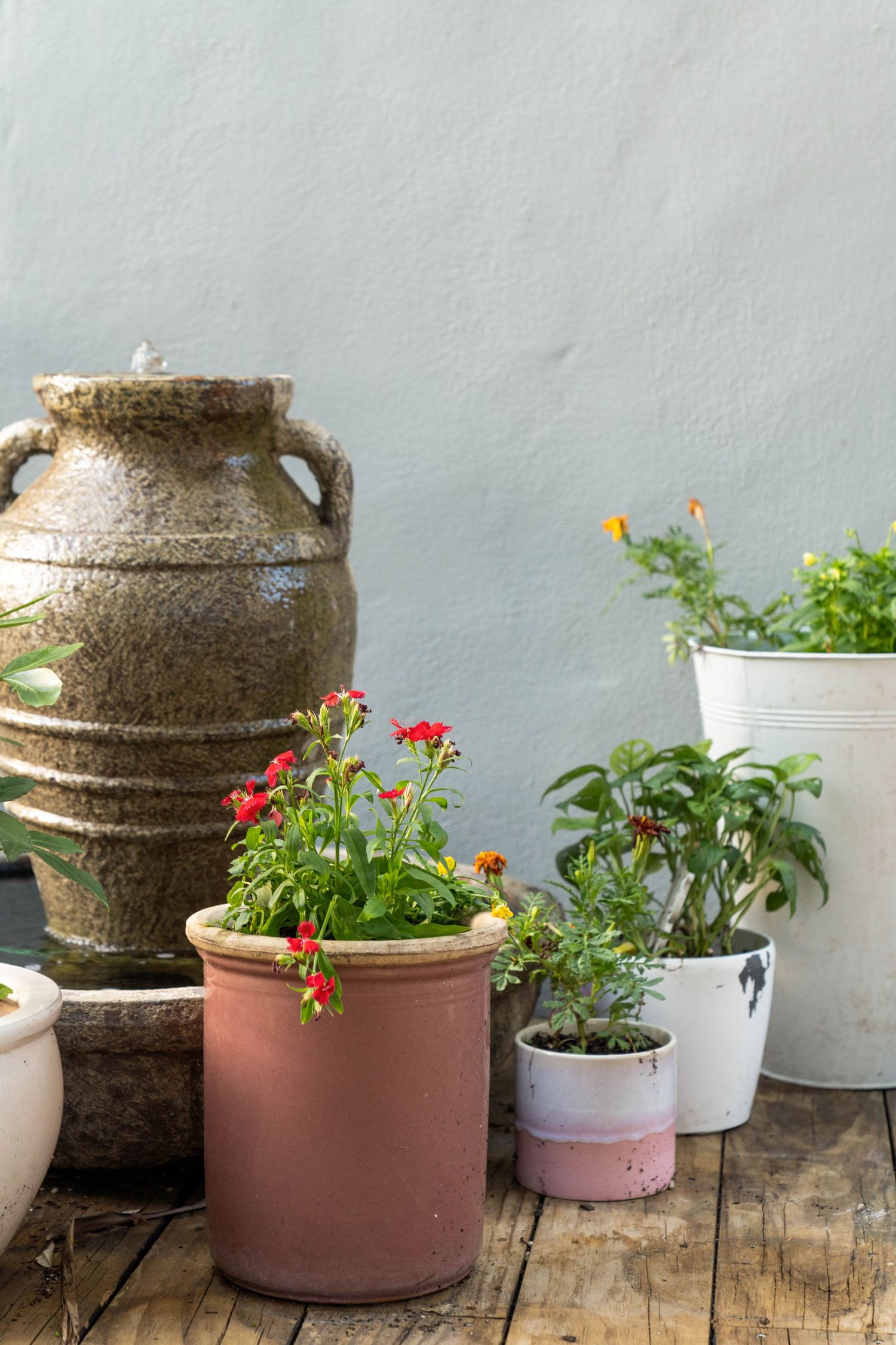 Vintage textured ceramic pot and colorful potted flowers arranged on rustic wooden surface against light wall.