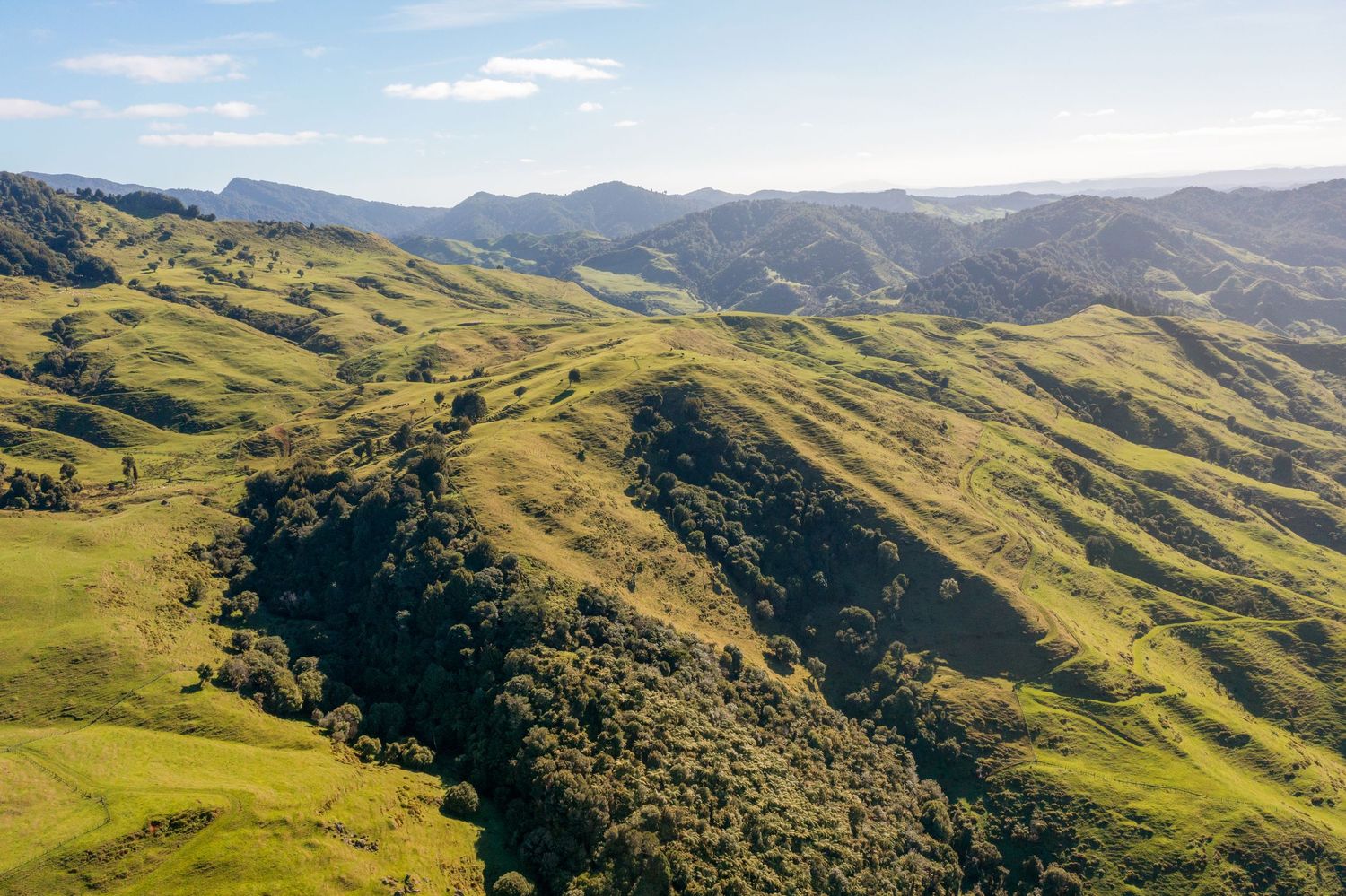 Rolling green hills extend toward distant mountains under a bright blue sky in a scenic panoramic landscape view.