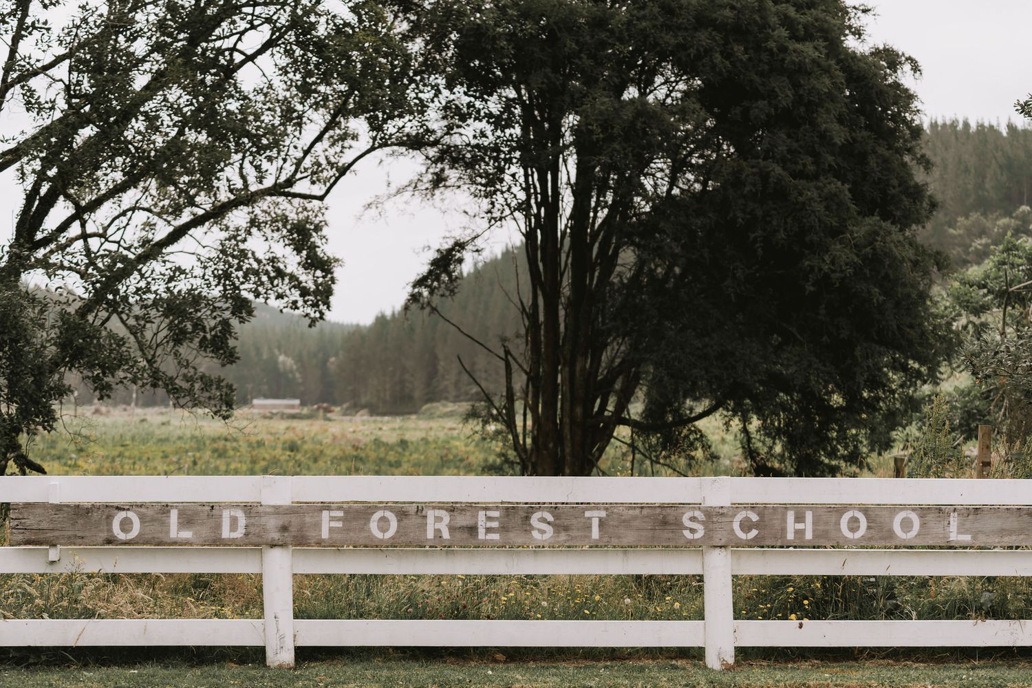 Six connected images showing a rustic white sign reading 'Old Forest School' and surrounding wooded rural landscape.