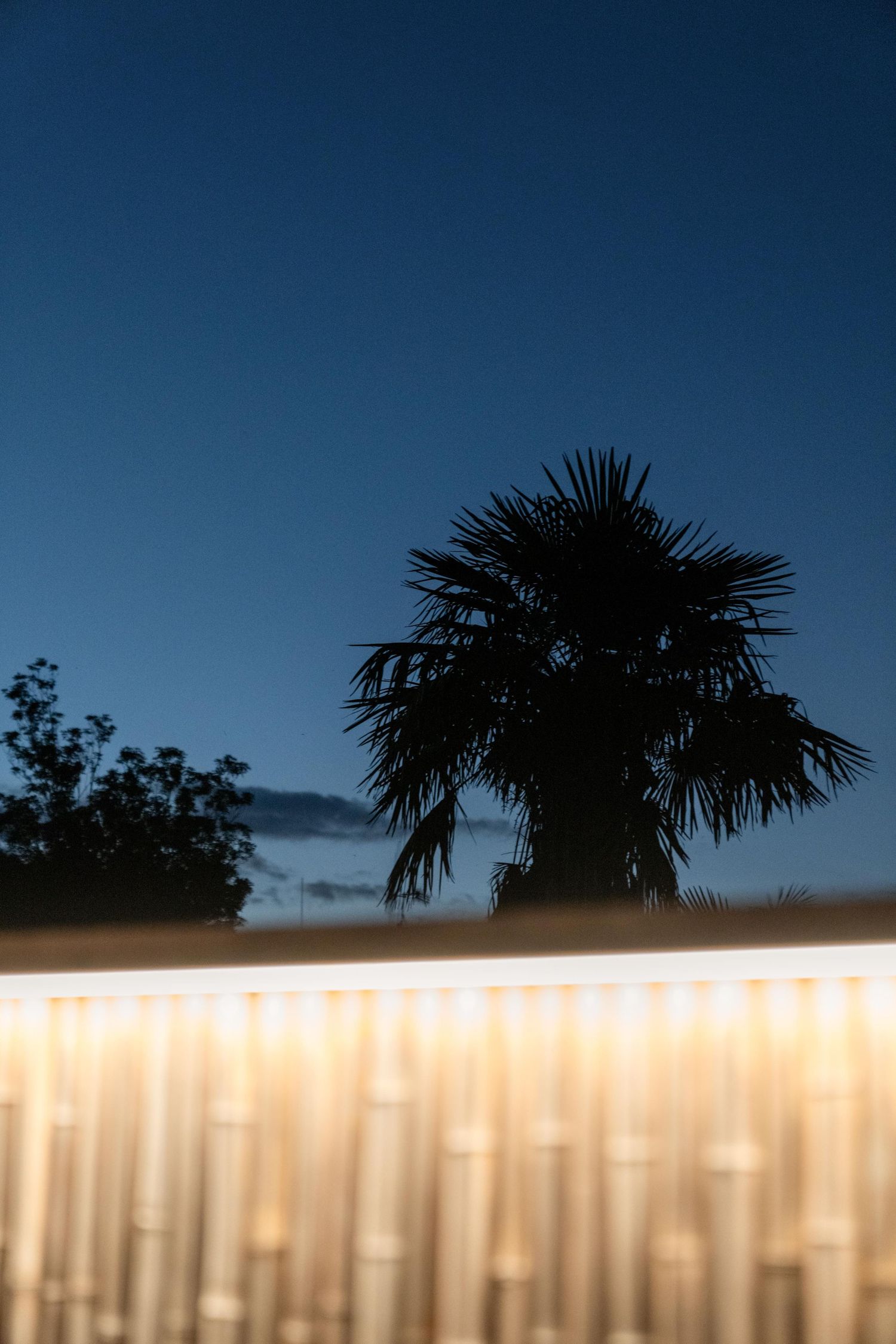 Palm tree silhouettes against dark blue evening sky with illuminated fence below.