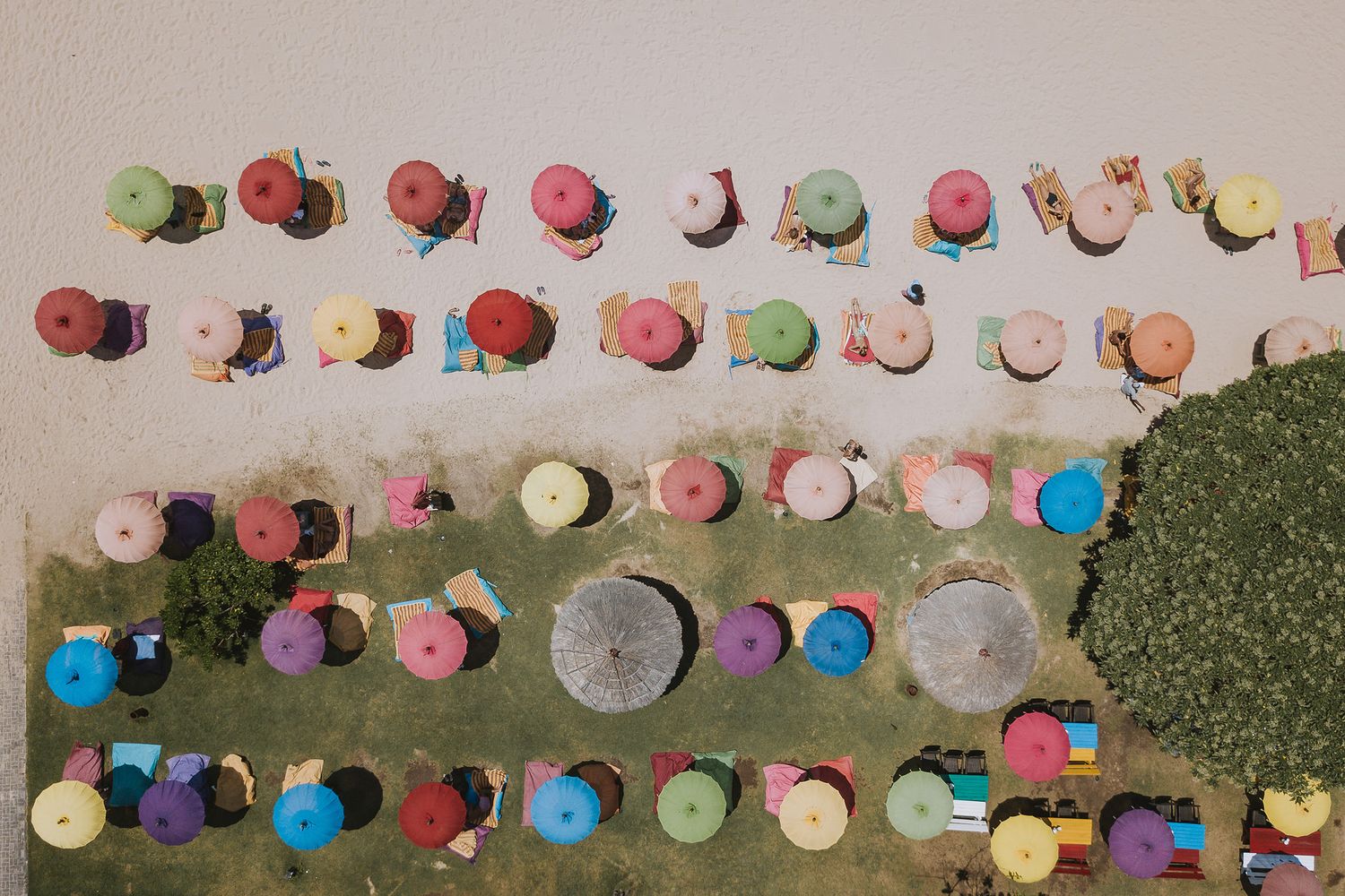 Aerial view of colorful umbrellas creating a pattern on grass during an outdoor event or gathering.