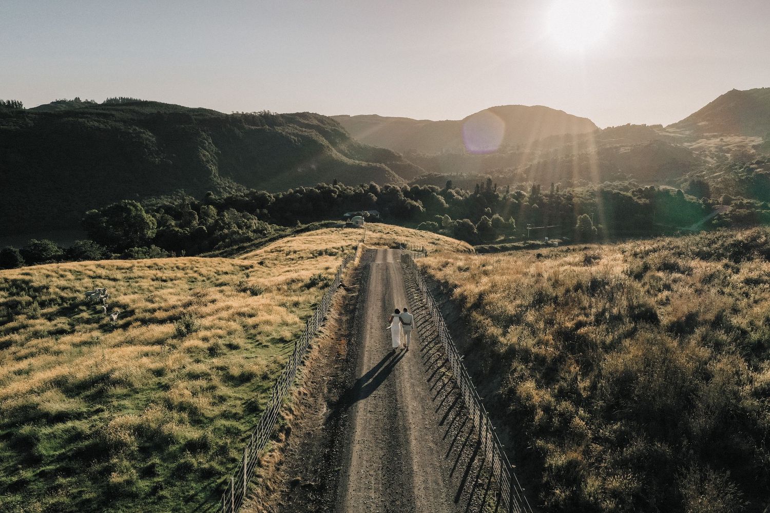 Rural road winding through hills and desert brush landscape with sunburst peeking through mountains at sunset.