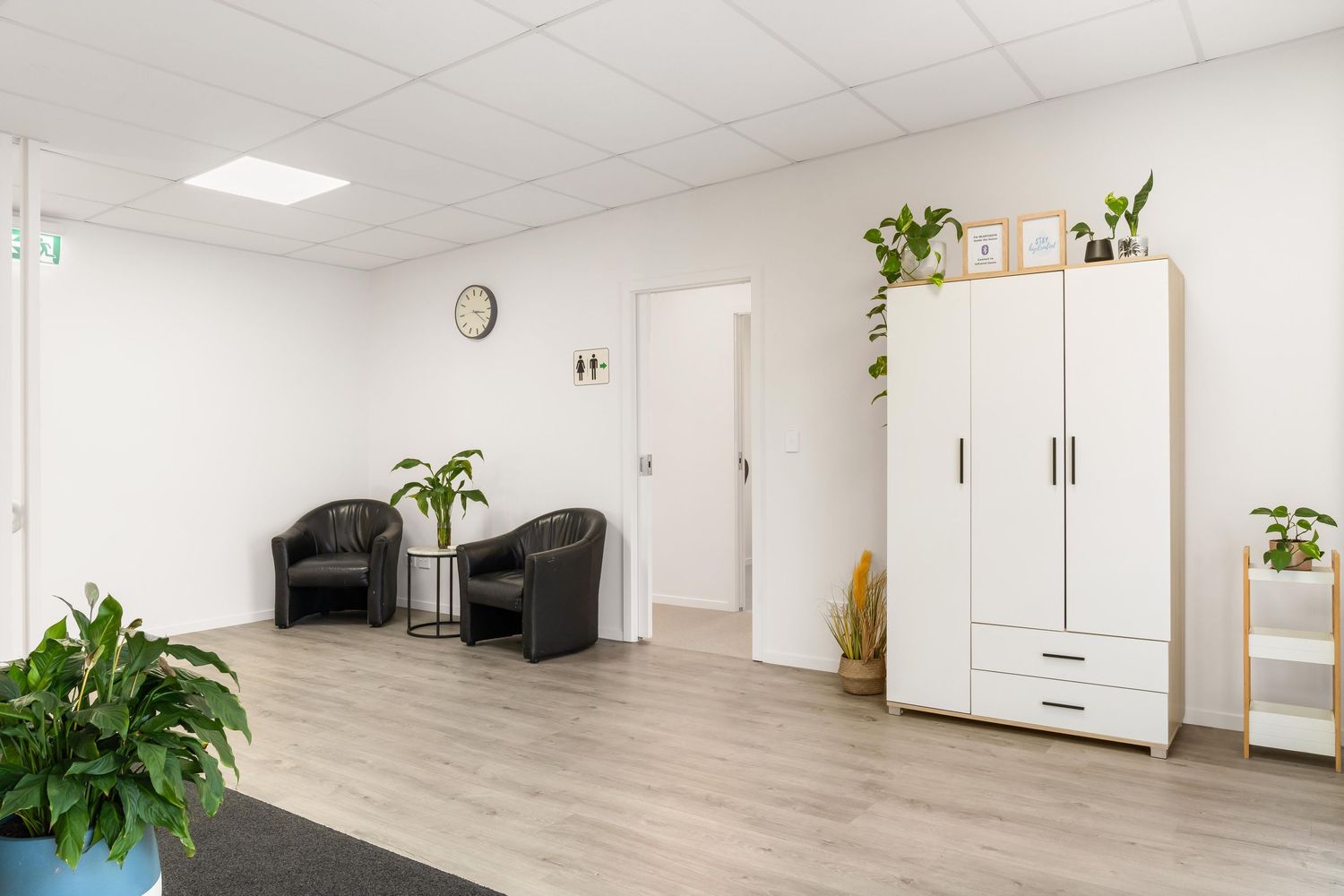 Bright office waiting area with white storage cabinet, black chairs and decorative plants.