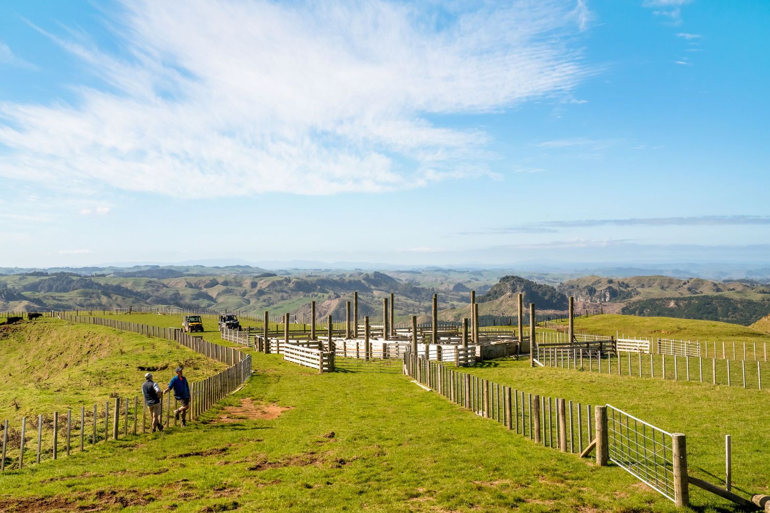 Scenic panoramic view of rolling green hills with wooden fence posts stretching across New Zealand countryside under blue sky.