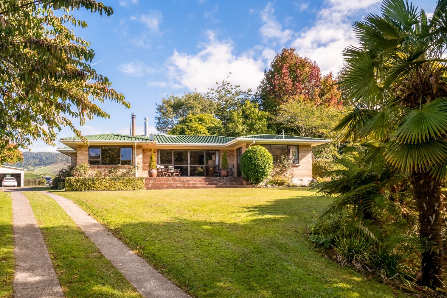 Panoramic view of a sunny yard with palm trees and residential buildings in a rural setting.