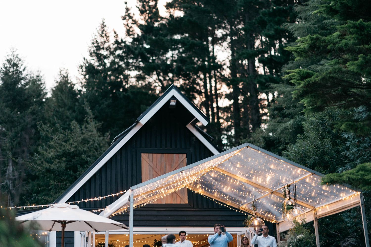 Outdoor wedding venue decorated with string lights at dusk amidst tall pine trees creating a romantic forest atmosphere.