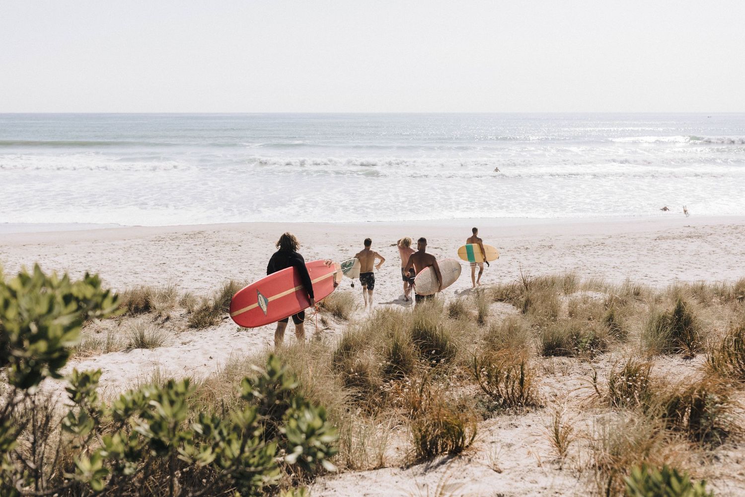 A series of beach landscape photos showing dunes, ocean waves, and sandy shores along the coastline.