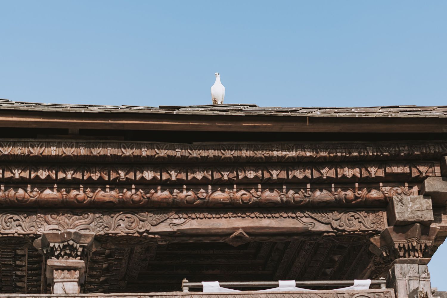 Brown ornate architectural detail of building roofline against blue sky with white bird perched on top.