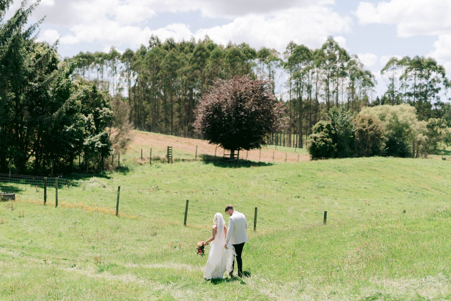 A couple walking hand in hand through a scenic pastoral field with tall pine trees in the background.