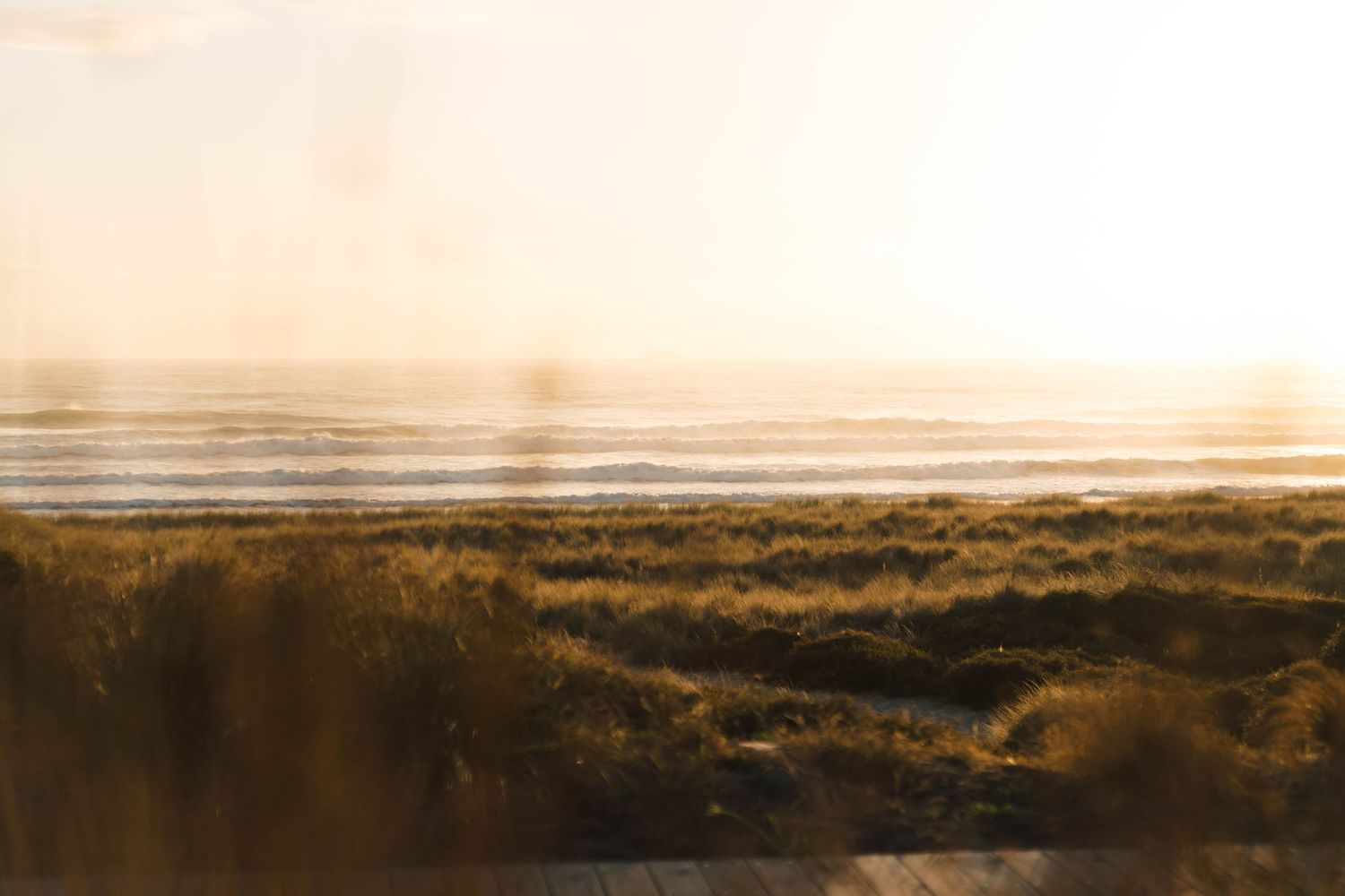 Panoramic view of natural grasslands stretching to the horizon during sunset.