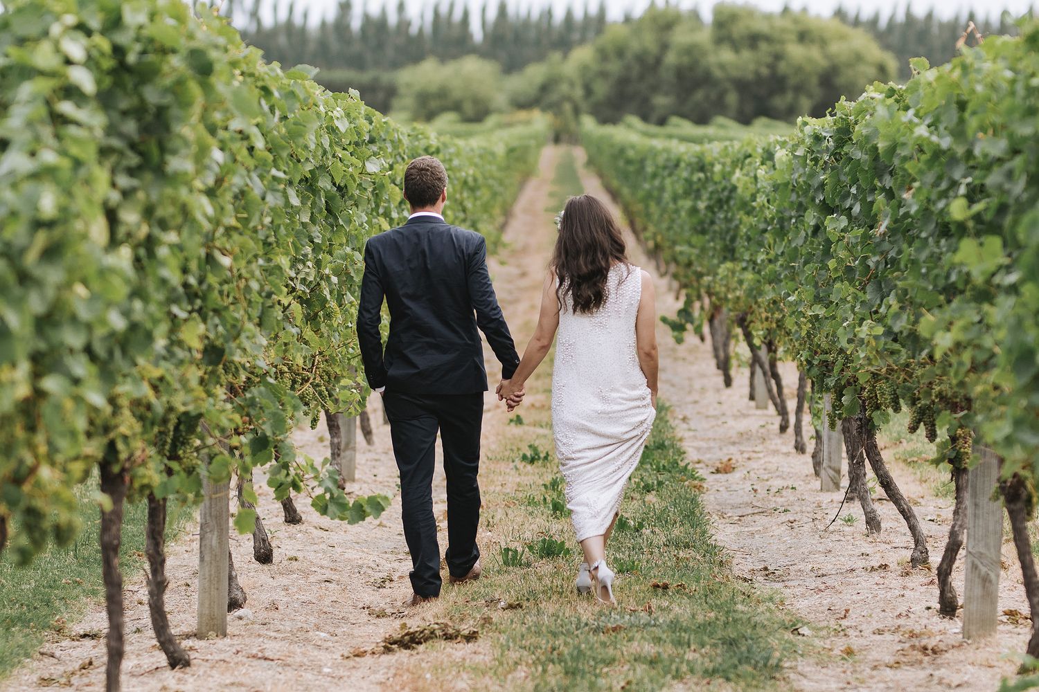Two people walk hand in hand down a vineyard row between green grapevines on a sunny day.