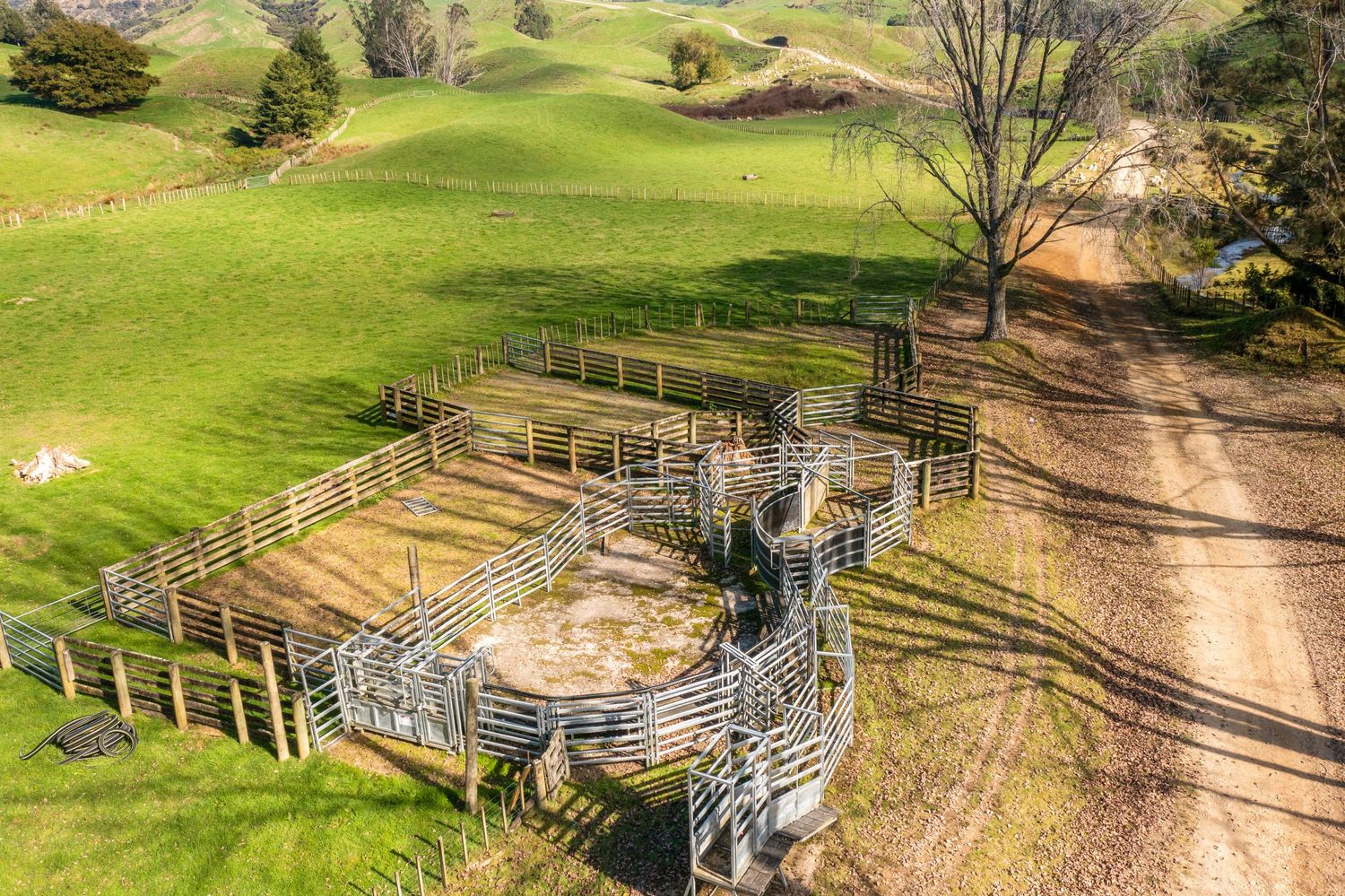 Aerial view of wooden cattle yards and loading chutes in rural pasture setting.