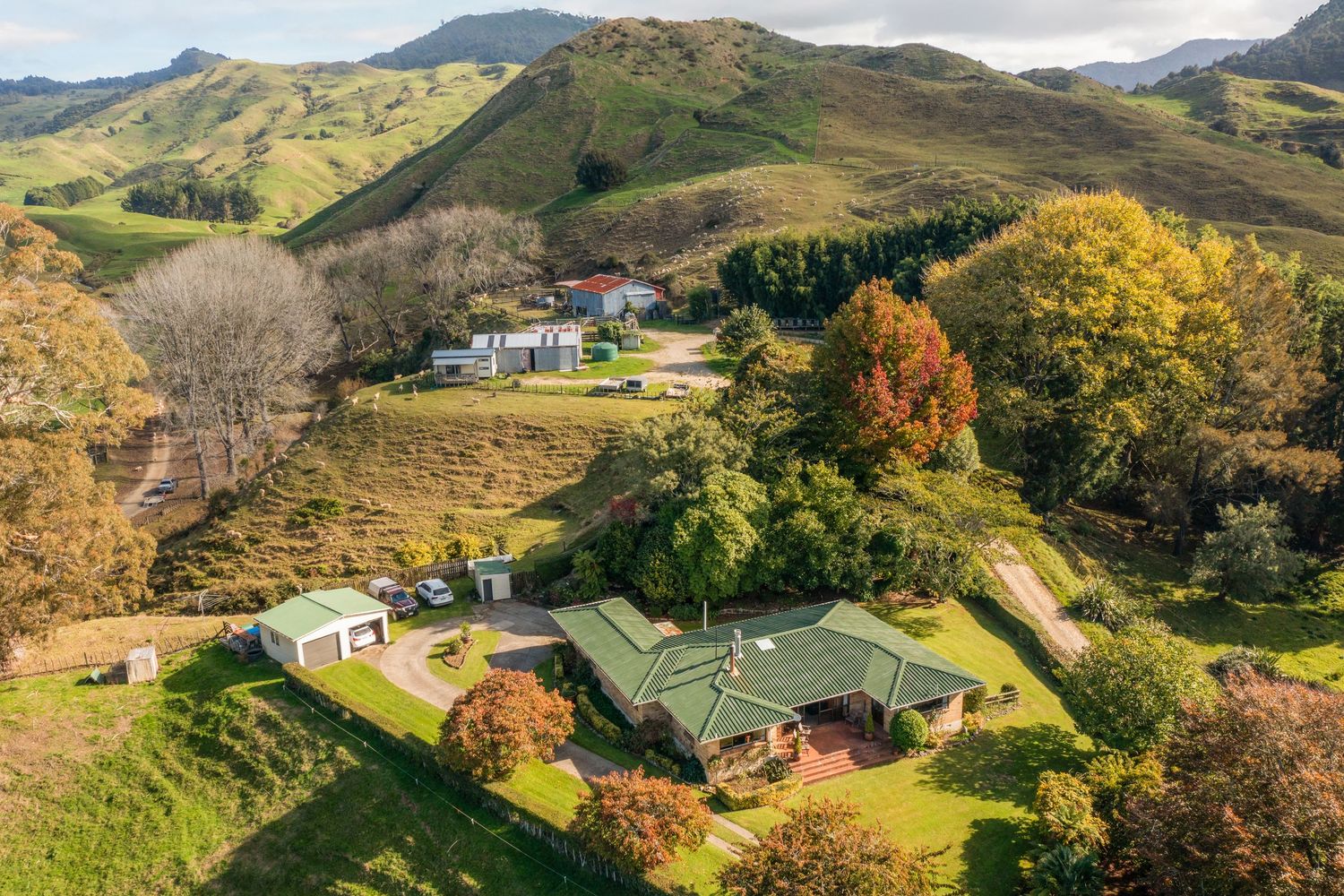 Panoramic view of rolling green hills and scattered rural properties in mountainous terrain.