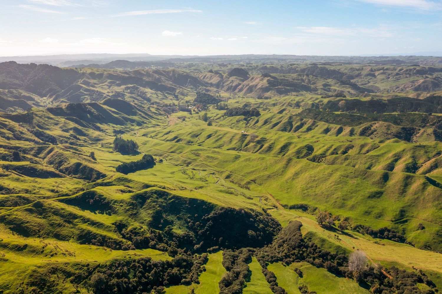 Aerial view of lush green valleys and winding ridges in New Zealand's mountainous terrain.