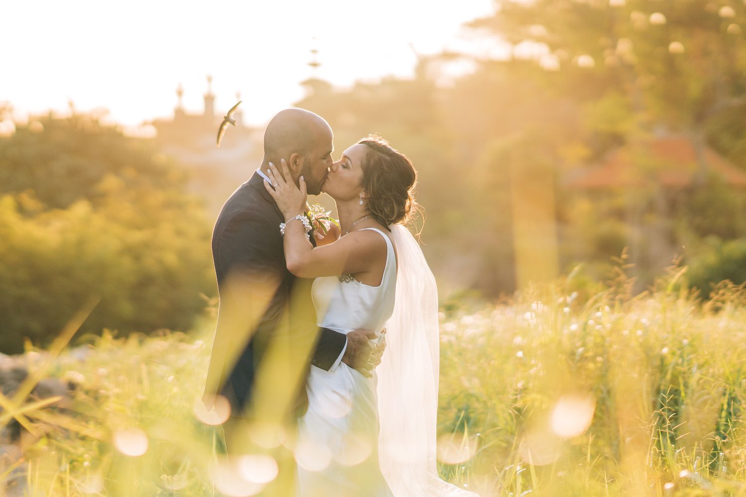 A romantic bridal couple sharing a kiss in a golden sunlit field during sunset.