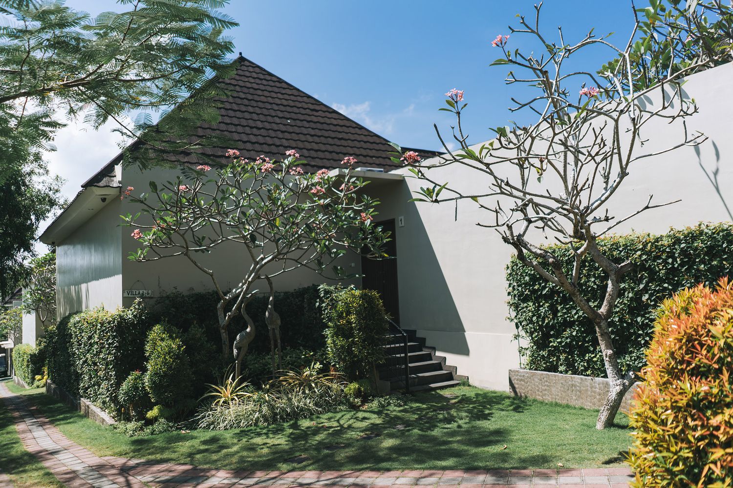 Modern white house with black sloped roof and lush garden landscaping featuring flowering plants and trees.