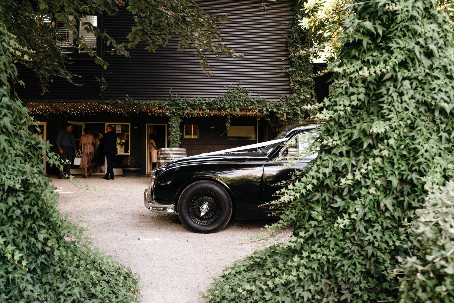 A vintage black car parked in a driveway surrounded by lush green foliage and bushes next to a dark house.