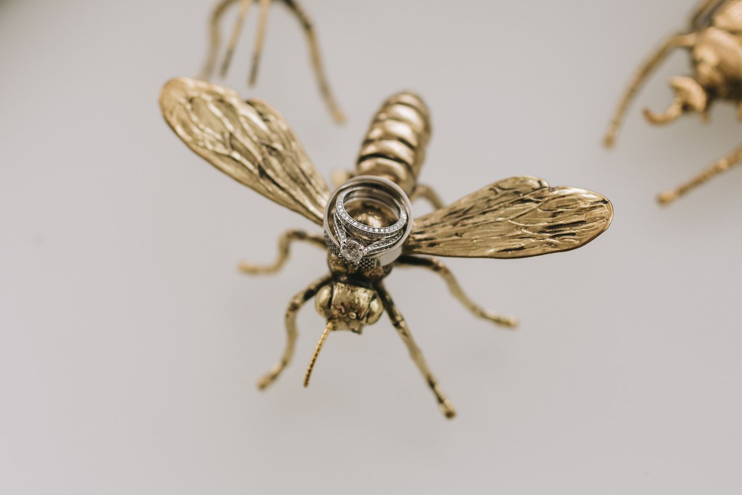 Close-up macro photograph of a decorative golden metal bee brooch with intricate wing details and crystal embellishment.